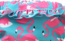 Pañal de natación reutilizable — flamencos