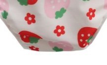 Pañal de natación reutilizable — fresas